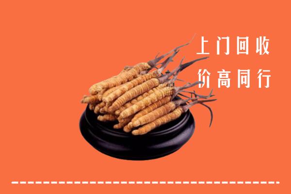 高价求购：巴音郭楞州博湖回收散虫草