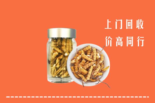 巴音郭楞州博湖回收冬虫夏草