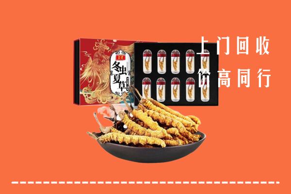 巴音郭楞州博湖回收虫草